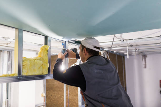 Best Insulation Materials and Products in Branchville, SC