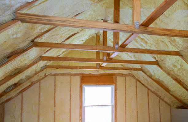 Best Energy Efficiency Solutions in Branchville, SC