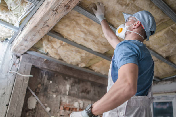 Best Specialty Insulation in Branchville, SC