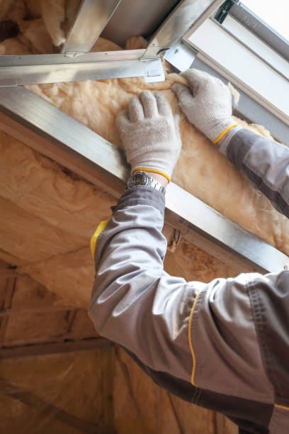 Best Insulation for Specific Applications in Branchville, SC