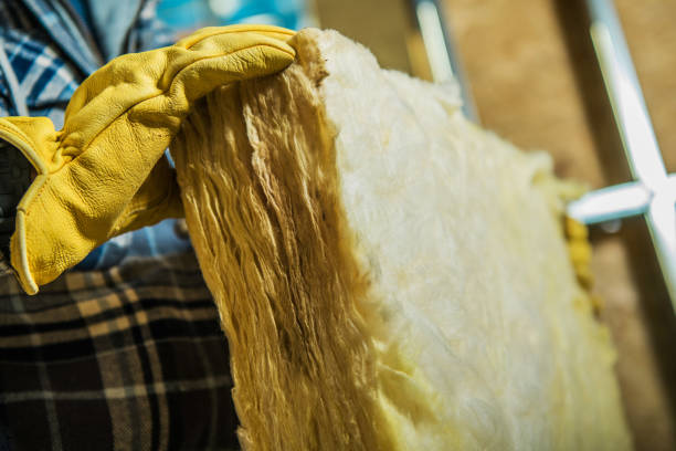 Best Residential Insulation in Branchville, SC