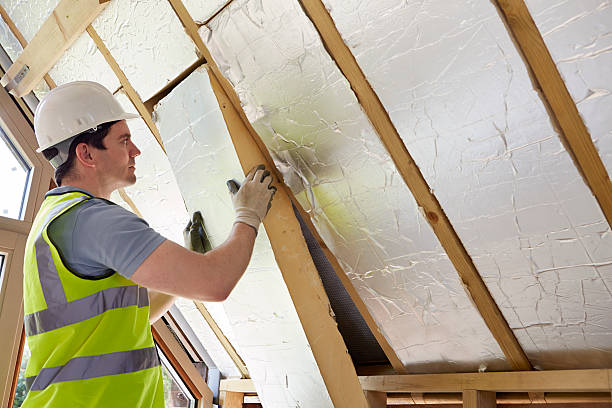 Best Insulation Installation Services in Branchville, SC